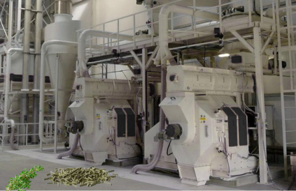 MASCHINEN LA MECCANICA